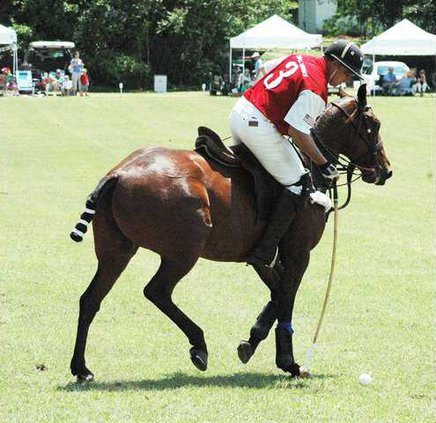 Polo.JPG