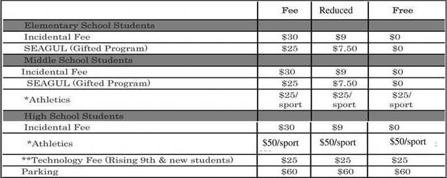 School Fee Chart Web
