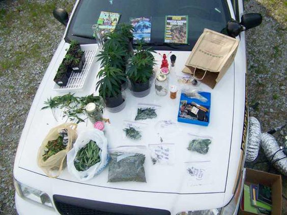 Pot on car