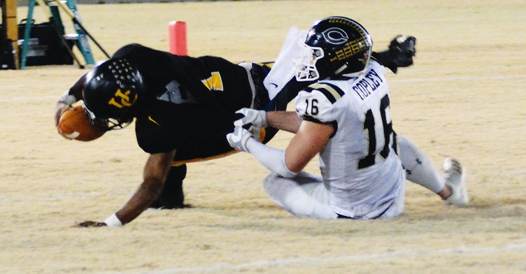 copley web